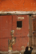 RedDoor2 